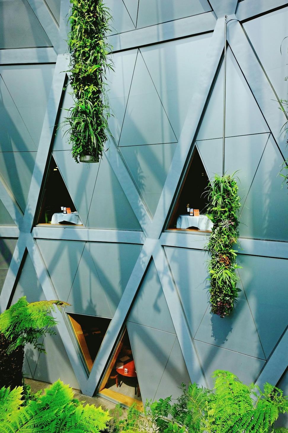 Sustainability consulting